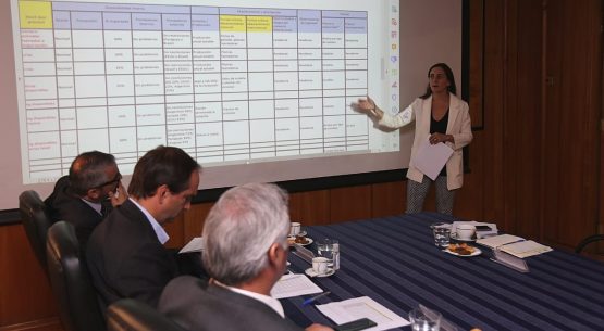 Directora de Odepa expuso en comité de abastecimiento, en el contexto del coronavirus