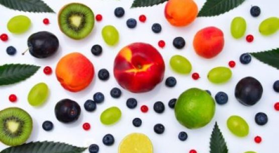 Concurso para escoger la fruta y verdura favorita en Chile