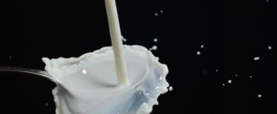 Revise información disponible sobre recepción y elaboración de la industria láctea