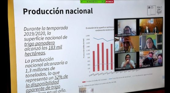 Ministro Walker tras reunión con los principales representantes de la cadena de producción del pan: “El objetivo es que al consumidor le llegue el justo precio”