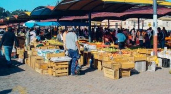 Revise precios al consumidor de los principales alimentos en línea