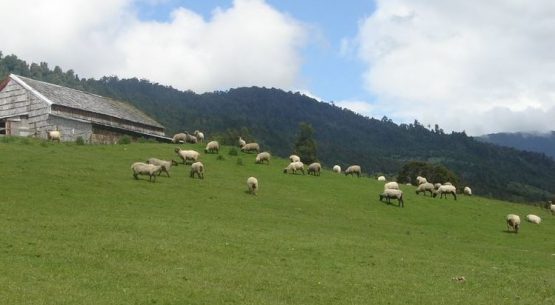 Actualizadas las Fichas regionales y nacional