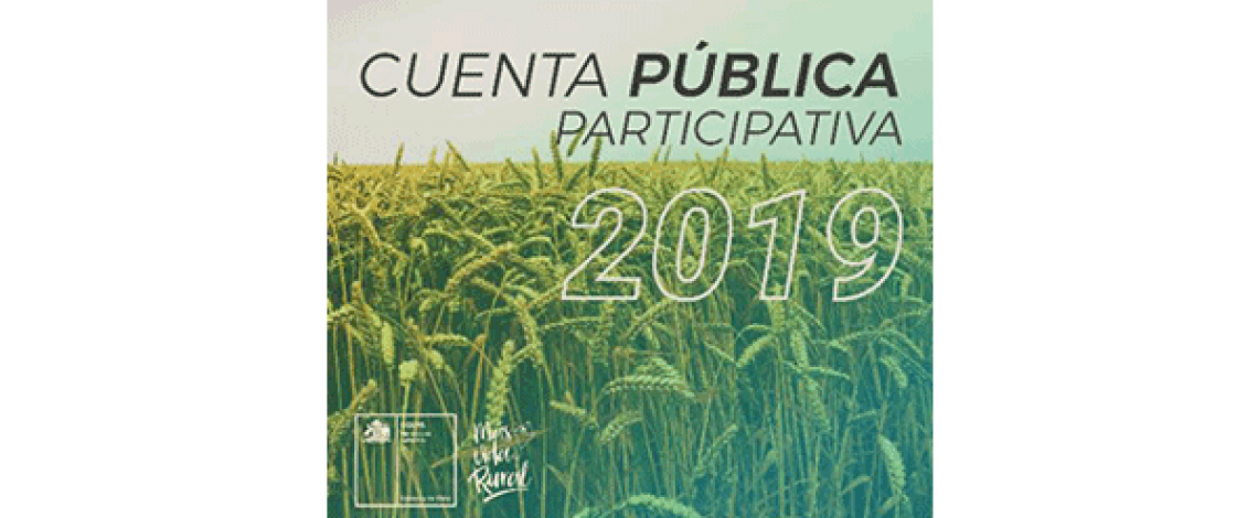 Cuenta Pública Participativa 2019