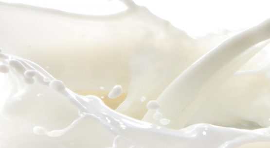 Mercado nacional de la leche y productos lácteos