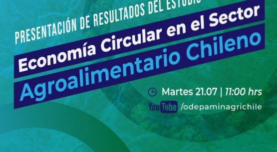 Charla sobre Economía Circular en el Sector Agroalimentario Chileno