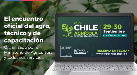 Odepa participa en el mayor encuentro del agro nacional, que este año será 100% virtual