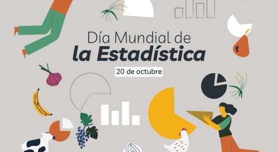Odepa conmemora el Día Mundial de la Estadística 