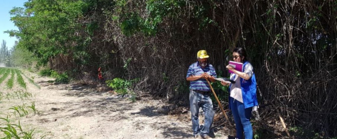 Odepa e INE abren opción de responder online el Censo Agropecuario y Forestal a todos los productores silvoagropecuarios