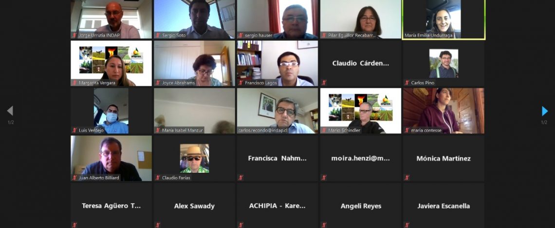 Organizaciones de Agricultores Ecológicos se posicionan en medio de alta demanda por la producción orgánica