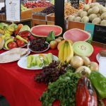 Estudio mapeo de acciones a nivel nacional en el ámbito de la sostenibilidad