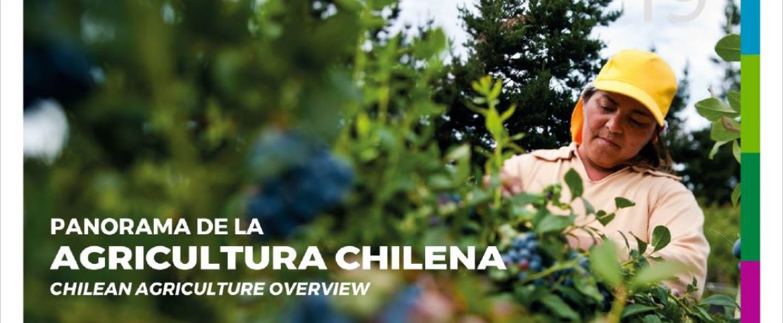 Panorama de la agricultura – Chilean agriculture overview 2019