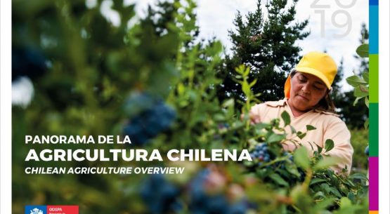 Panorama de la agricultura – Chilean agriculture overview 2019