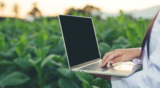 Último plazo para inscribirse en la modalidad online del Censo Agropecuario y Forestal: 21 de febrero de 2021