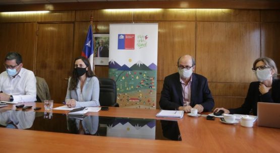 Ministra Undurraga en Comité Abastecimiento Seguro: “El llamado es a realizar un último esfuerzo y así también lo han entendido los representantes de las ferias libres, los mercados, supermercados y gremios del Agro”