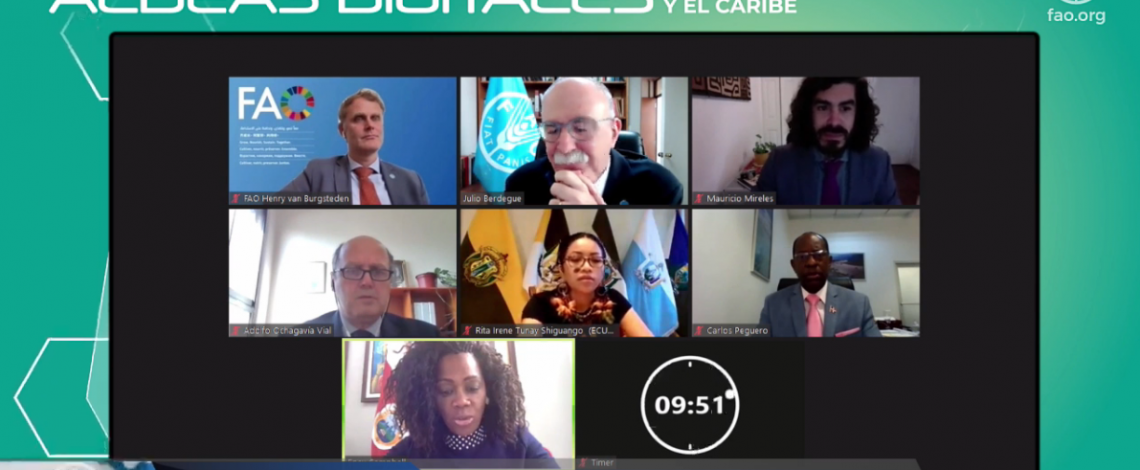 Director (s) de Odepa participa del lanzamiento de la iniciativa “Aldeas Digitales en América Latina y el Caribe”