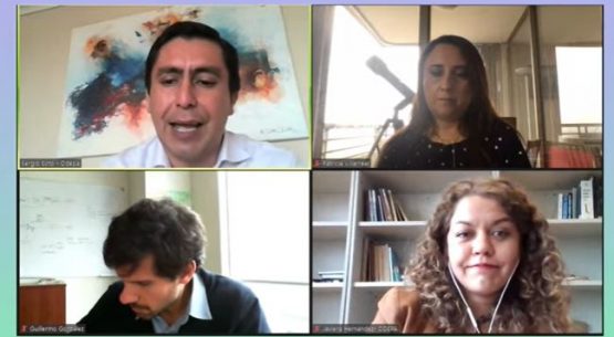 Odepa organizó Webinar sobre Economía Circular. Ley REP: desafíos y oportunidades para el sector silvoagropecuario