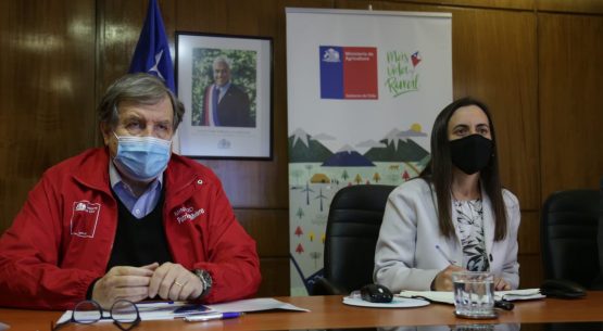 Ministros Undurraga y Melero encabezan Comité de Abastecimiento Seguro y resaltaron la compatibilidad de los beneficios sociales y los contratos de trabajo en el sector agrícola 