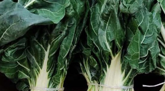 Boletín de hortalizas, octubre 2021