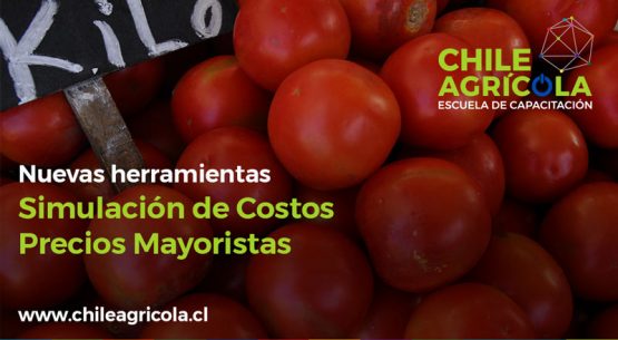 Escuela de Capacitación Online Chile Agrícola integra nuevas herramientas para simulación de costos productivos