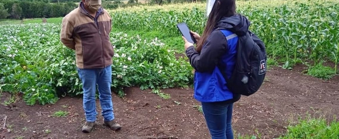 VIII Censo Nacional Agropecuario y Forestal agradece a productores silvoagropecuarios por alta tasa de respuesta