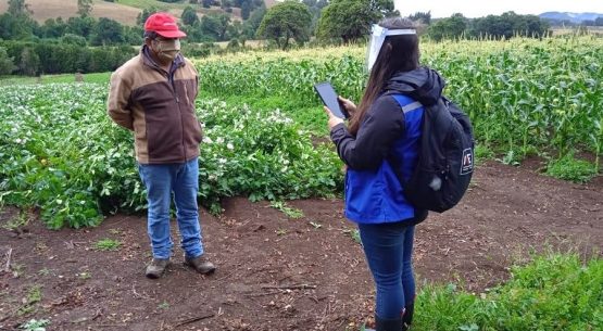 VIII Censo Nacional Agropecuario y Forestal agradece a productores silvoagropecuarios por alta tasa de respuesta