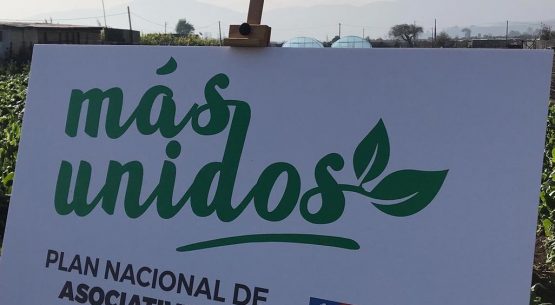 Ministra de Agricultura lideró el lanzamiento de la Estrategia de Asociatividad para el sector Silvoagropecuario al 2030 