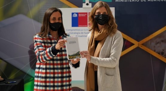 Con gran participación se realizó el lanzamiento de la Estrategia de sustentabilidad agroalimentaria