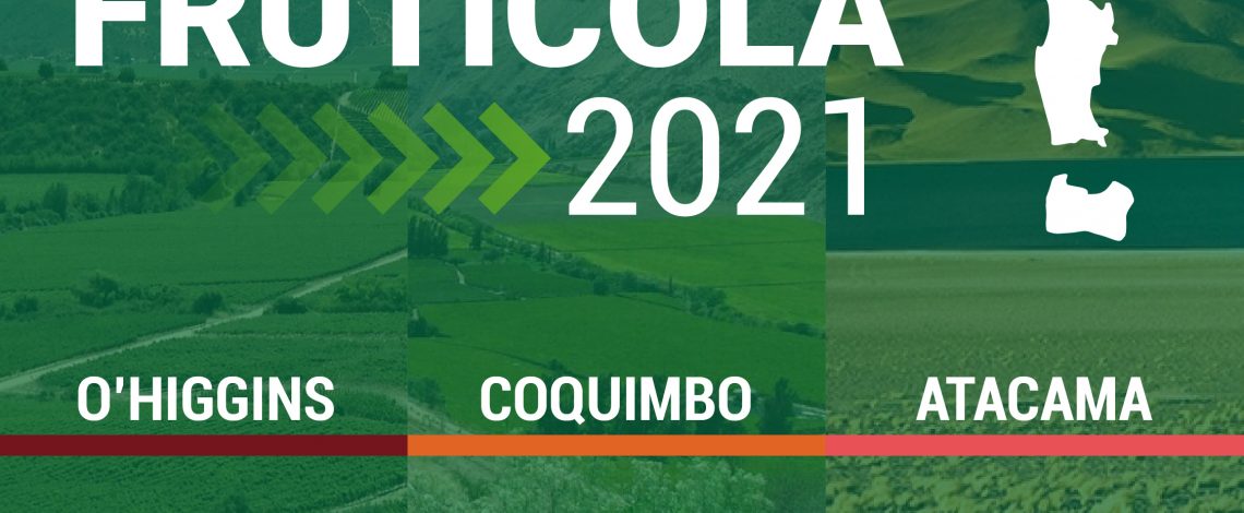 Ministra Undurraga por Catastro Frutícola 2021: “Contar con datos e información actualizada y oportuna es de vital relevancia para tomar las mejores decisiones”