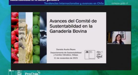 Se realizó seminario: Sustentabilidad en el sector ganadero, tendencias internacionales y avances en Chile