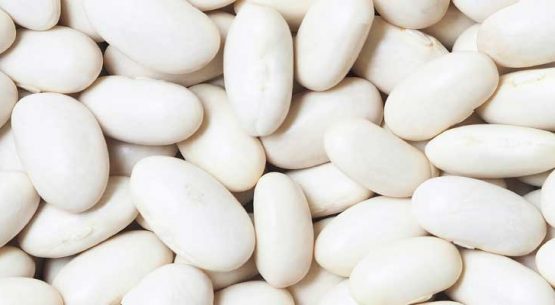 Legumbres: situación mundial y nacional