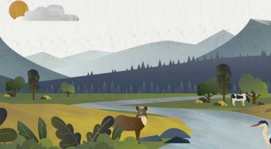 Estrategia de sustentabilidad agroalimentaria, realizada en forma participativa