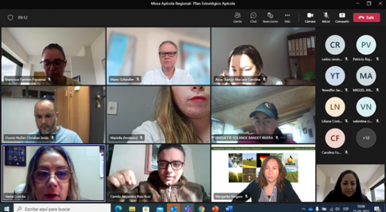 Mesa Apícola de la Región Metropolitana sesionó para difundir consulta pública del Plan Estratégico de Desarrollo Apícola