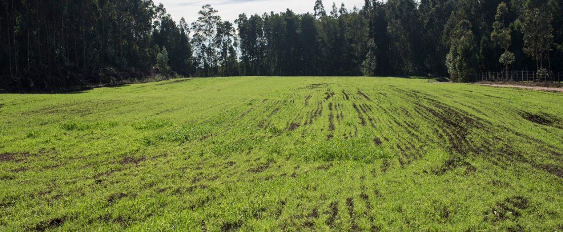 Científicos, académicos y representantes públicos y privados presentan propuestas para medir la sustentabilidad en la actividad silvoagropecuaria