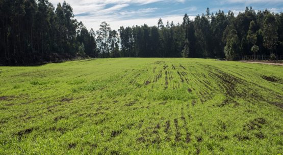 Científicos, académicos y representantes públicos y privados presentan propuestas para medir la sustentabilidad en la actividad silvoagropecuaria
