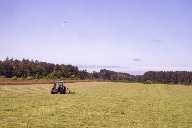 Imagen con un tractor en el campo