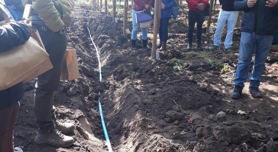 Odepa visitó la primera fecha del ciclo de Ferias Tecnológicas de Riego para la Innovación Sustentable