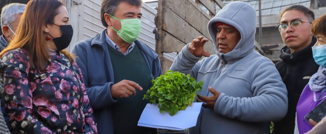 Minagri presenta informe “Mejores Alimentos de Temporada” que recoge las principales bajas de alimentos en ferias libres y supermercados