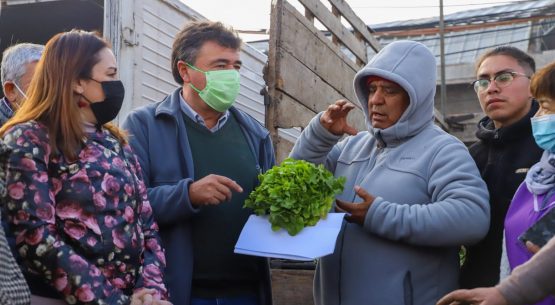 Minagri presenta informe “Mejores Alimentos de Temporada” que recoge las principales bajas de alimentos en ferias libres y supermercados