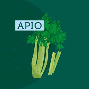 Apio - Región de La Araucanía