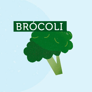 Brócoli - Región del Biobío