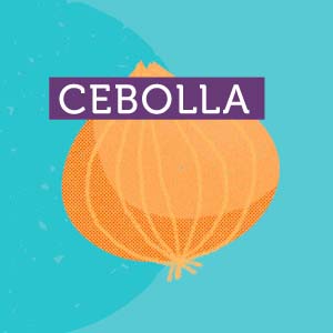 Cebolla - Región de Ñuble