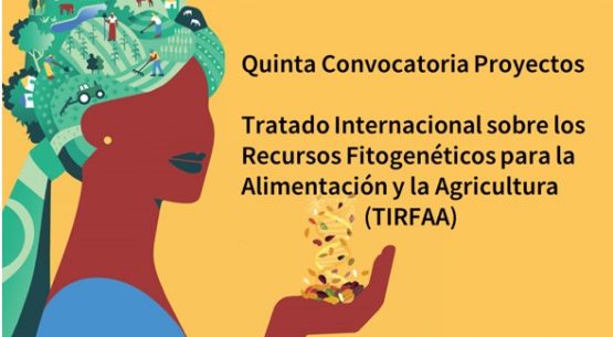 Comunicamos la apertura de la Quinta Convocatoria de Propuestas del Fondo de distribución de beneficios del Tratado Internacional sobre los Recursos Fitogenéticos para la Alimentación y la Agricultura