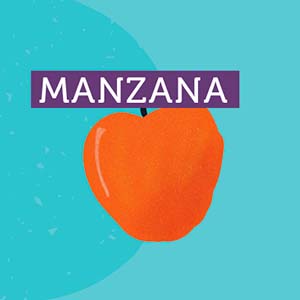 Manzana - Región del Ñuble