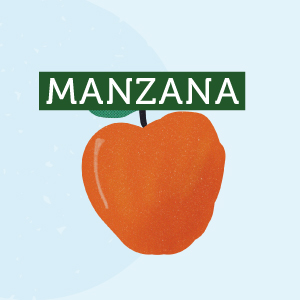 Manzana - Región de Biobío