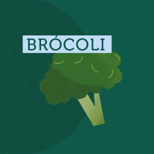 Brócoli - Región de La Araucanía