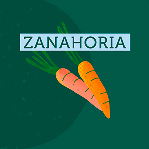 Zanahoria - Región de La Araucanía