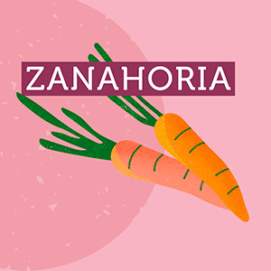 Zanahoria - Región de Coquimbo