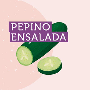 Pepino ensalada - Región de Valparaíso