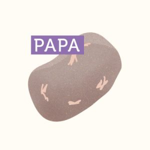 18-ARICA-PAPA