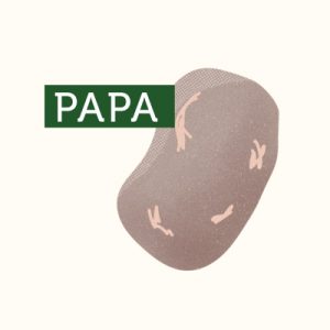 18-BIOBIO-PAPA